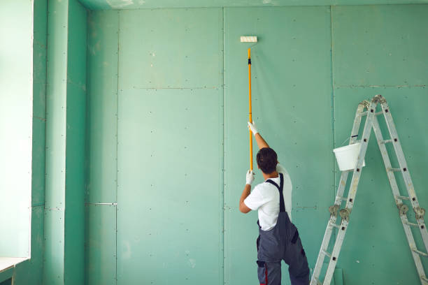 Best Dehumidification Services  in Wye, MT