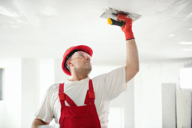 Best Crawl Space Mold Remediation  in Wye, MT