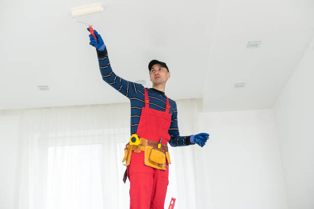 Best Biohazard Mold Removal  in Wye, MT