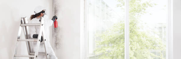 Best Commercial Mold Inspection  in Wye, MT